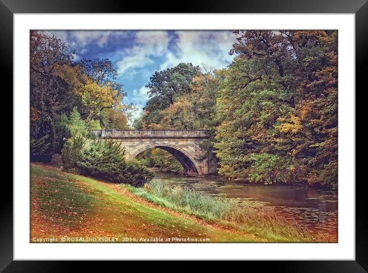 "Autumn sunshine at Wynyard" Framed Mounted Print by ROS RIDLEY