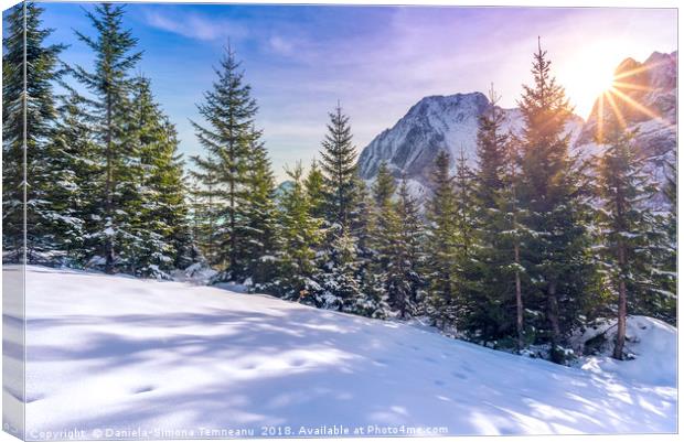 Sun rays over snowy alpine scene Canvas Print by Daniela Simona Temneanu