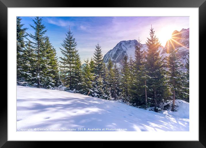 Sun rays over snowy alpine scene Framed Mounted Print by Daniela Simona Temneanu