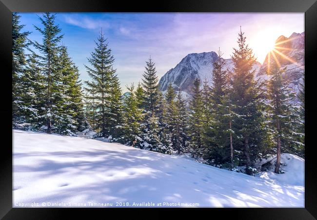 Sun rays over snowy alpine scene Framed Print by Daniela Simona Temneanu