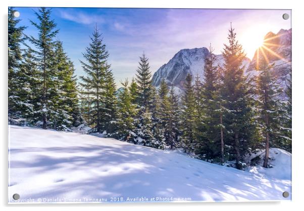 Sun rays over snowy alpine scene Acrylic by Daniela Simona Temneanu