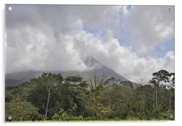 Arenal Volcano Acrylic by Carole-Anne Fooks