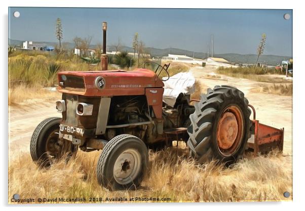 Massey Ferguson Tractor Acrylic by David Mccandlish