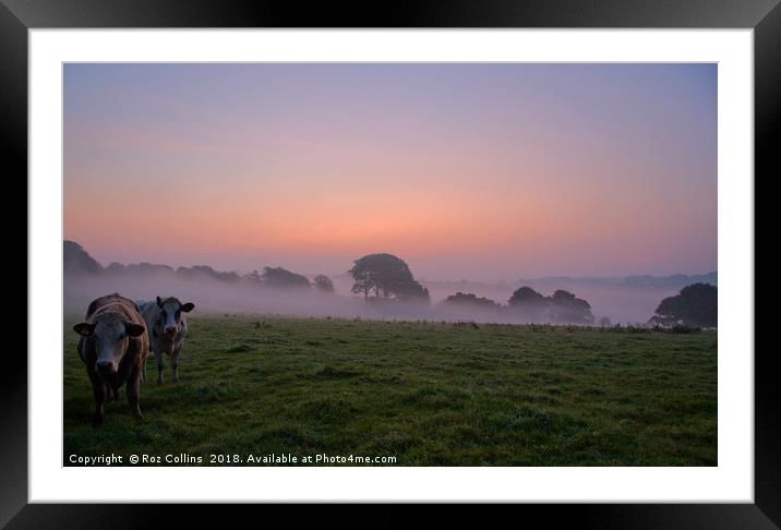 Sunrise in a Field above Ponsanooth Framed Mounted Print by Roz Collins