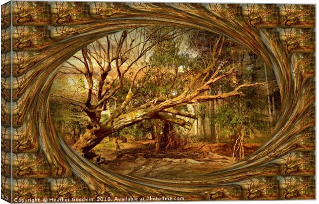 Winds of Time Canvas Print by Heather Goodwin