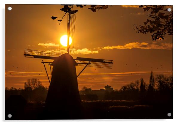 Windmill at the warm and red color sunrise Acrylic by Ankor Light