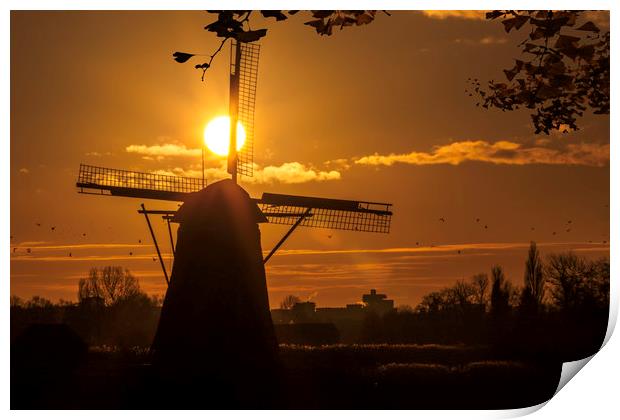 Windmill at the warm and red color sunrise Print by Ankor Light