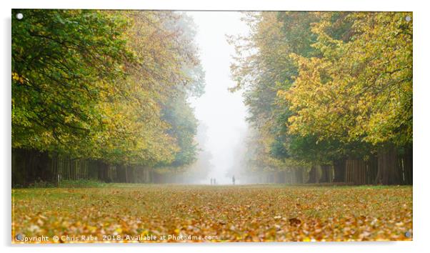Foggy Park Acrylic by Chris Rabe