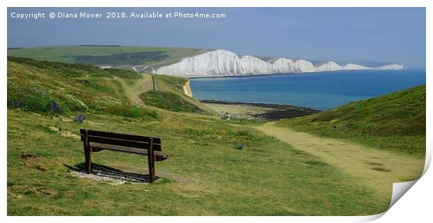 Seven Sisters Seat Print by Diana Mower
