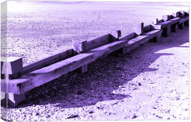 Lilac Groyne Canvas Print by Lisa PB