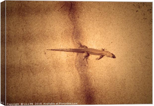 Lizard In The Shadows Canvas Print by Lisa PB