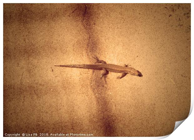 Lizard In The Shadows Print by Lisa PB