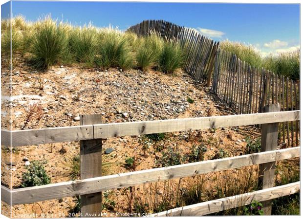 Fenced Off Sand Dunes Canvas Print by Lisa PB