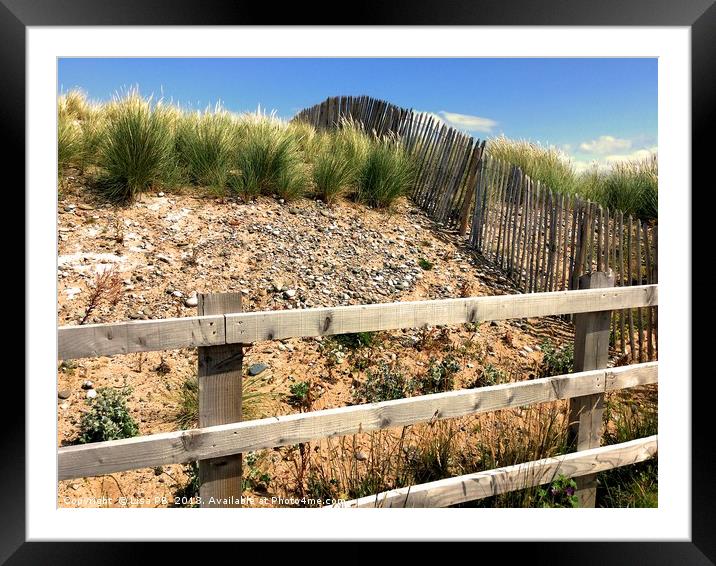 Fenced Off Sand Dunes Framed Mounted Print by Lisa PB