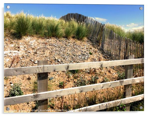 Fenced Off Sand Dunes Acrylic by Lisa PB
