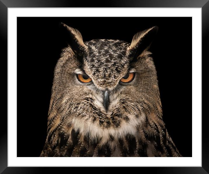Eurasian Eagle Owl V Framed Mounted Print by Abeselom Zerit