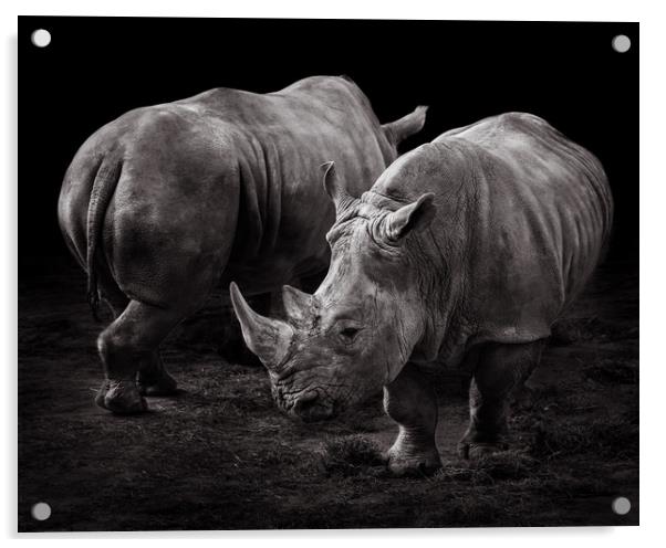 White Rhinos Acrylic by Abeselom Zerit