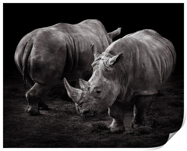 White Rhinos Print by Abeselom Zerit