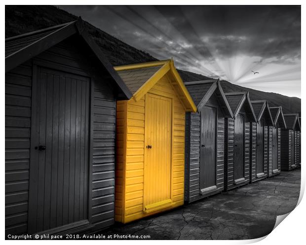 Beach Huts at Whitby Print by phil pace