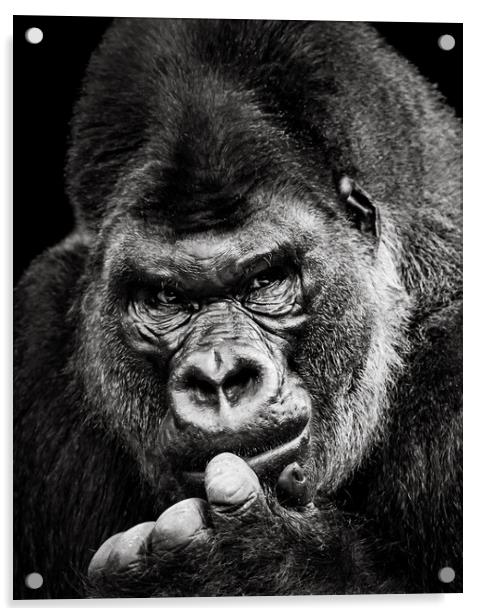 Western Lowland Gorilla X Acrylic by Abeselom Zerit