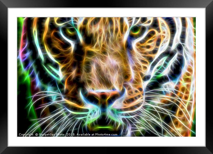 Tiger Face fractalius wall art Framed Mounted Print by GadgetGaz Photo