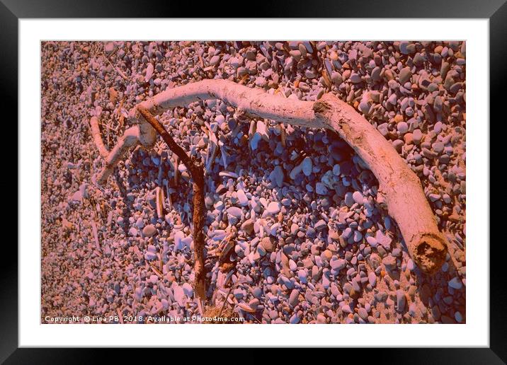 Sticks And Stones Framed Mounted Print by Lisa PB