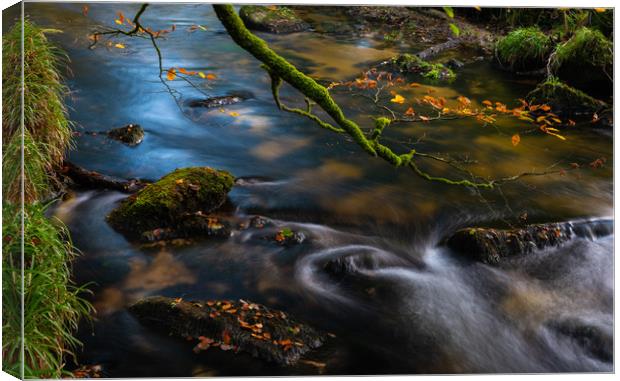River's edge Canvas Print by Michael Brookes