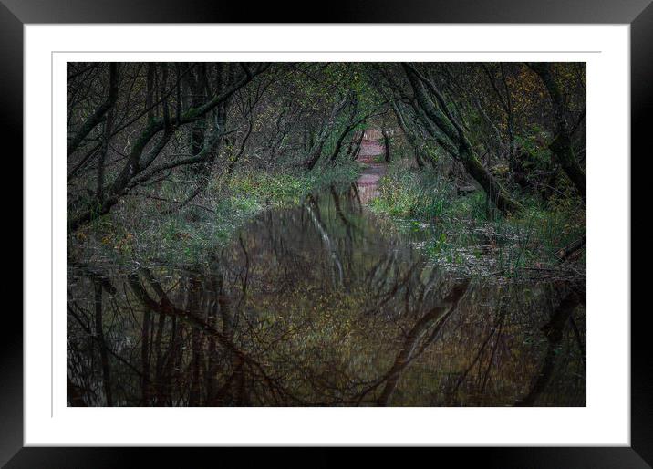 Crow Park Framed Mounted Print by Paul Andrews