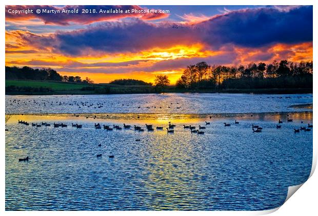 Solitude at Sunset Print by Martyn Arnold