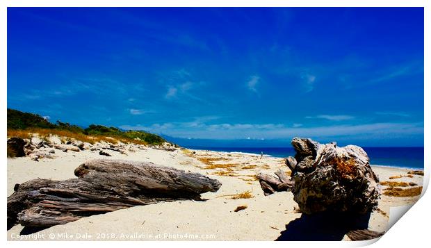 Empty beach with driftwood, North Island, New Zeal Print by Mike Dale