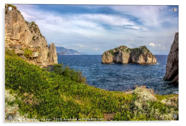 Capri island in a beautiful summer day in Italy Acrylic by Dragomir Nikolov