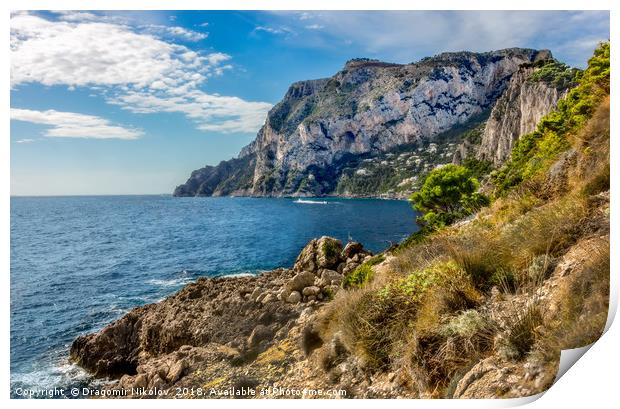 Capri island in a beautiful summer day in Italy Print by Dragomir Nikolov