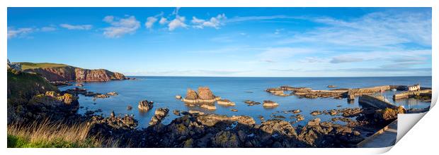 Panorama of St Abbs Coastline Print by Tommy Dickson
