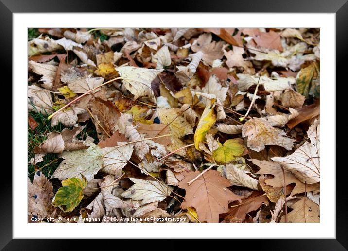 Autumn Leaves On The Ground Framed Mounted Print by Kevin Maughan