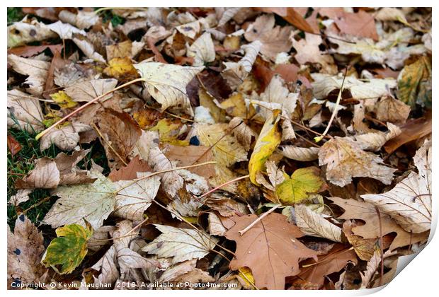 Autumn Leaves On The Ground Print by Kevin Maughan