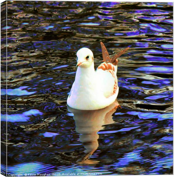 Bird On The River Wansbeck At Morpeth  Canvas Print by Kevin Maughan