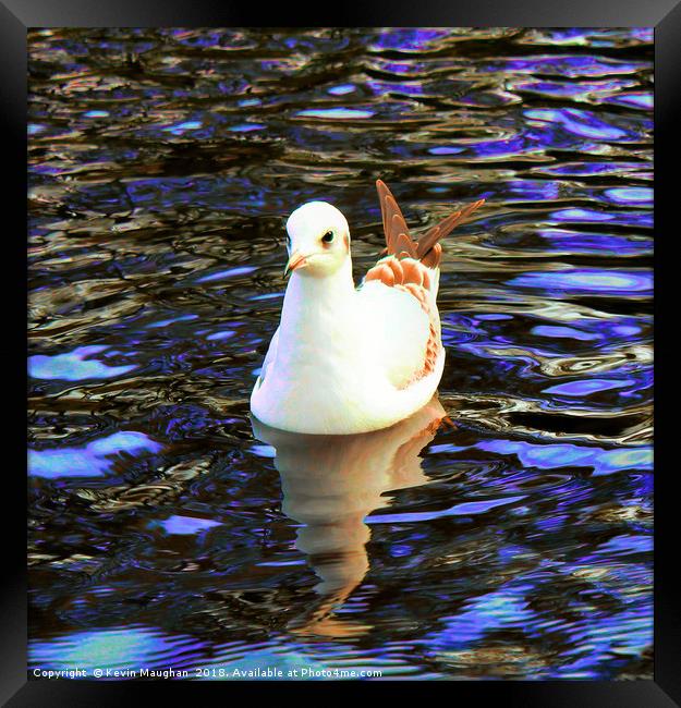 Bird On The River Wansbeck At Morpeth  Framed Print by Kevin Maughan