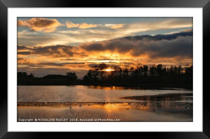 "Breezy sunset across the lake" Framed Mounted Print by ROS RIDLEY