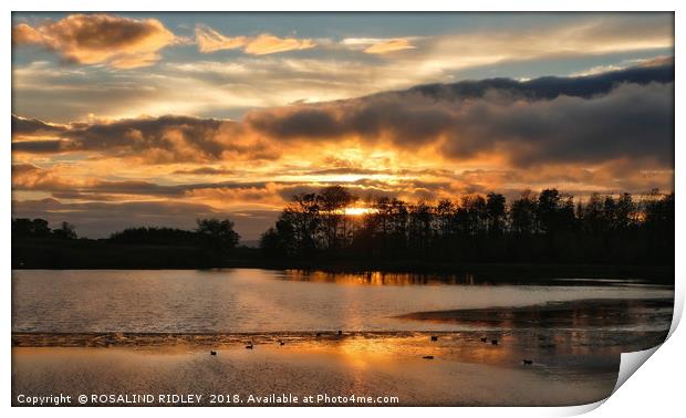 "Breezy sunset across the lake" Print by ROS RIDLEY