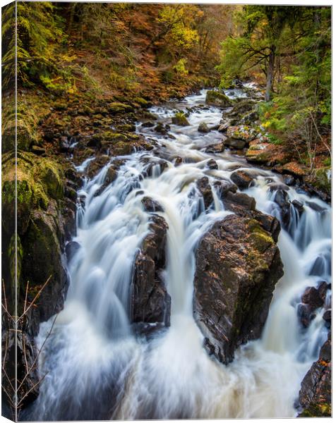 Autumn at the Waterfalls on the River Braan Canvas Print by George Robertson