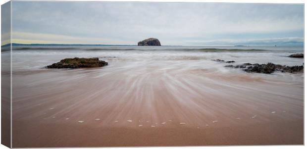 Bass Rock  Canvas Print by Chris Wright