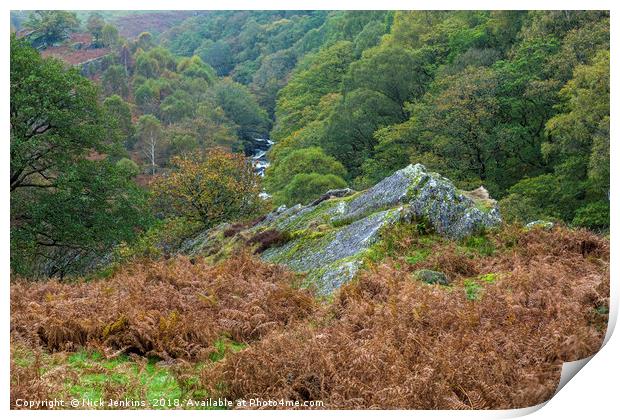 Autumn Landscape above the Tywi River Mid Wales Print by Nick Jenkins