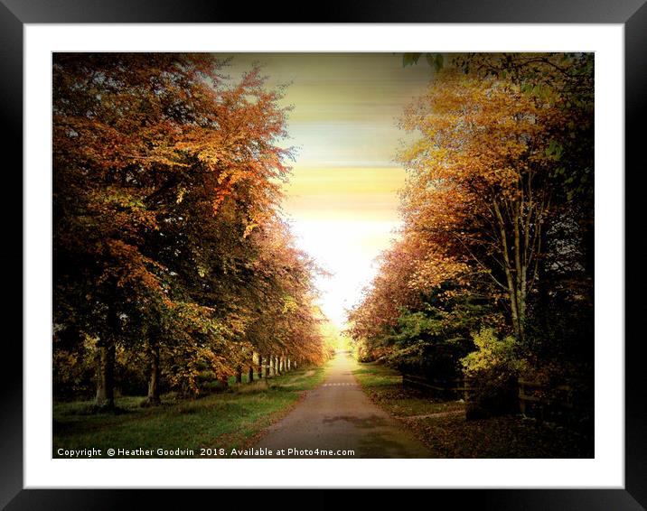 Autumn Exposure Framed Mounted Print by Heather Goodwin