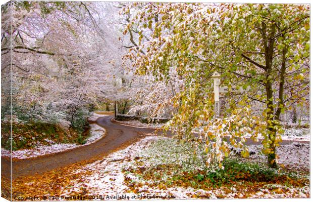 November Snow in Devon Canvas Print by Paul F Prestidge