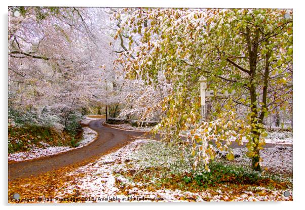 November Snow in Devon Acrylic by Paul F Prestidge