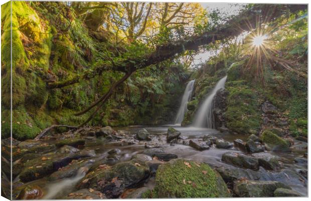 Venford Falls, Dartmoor National Park Canvas Print by Images of Devon