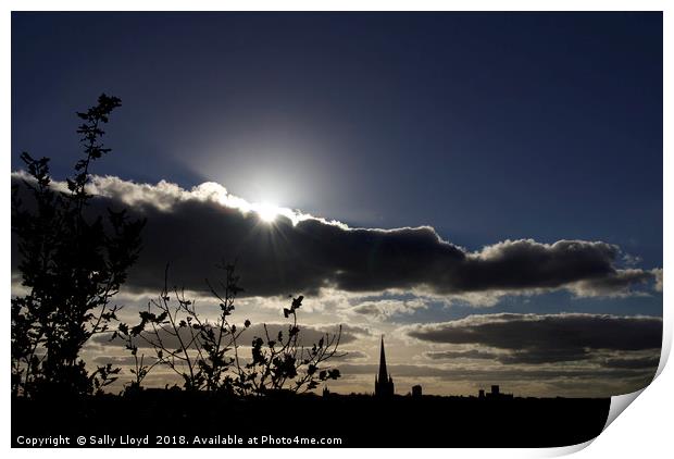 Norwich Cathedral Sunset Print by Sally Lloyd
