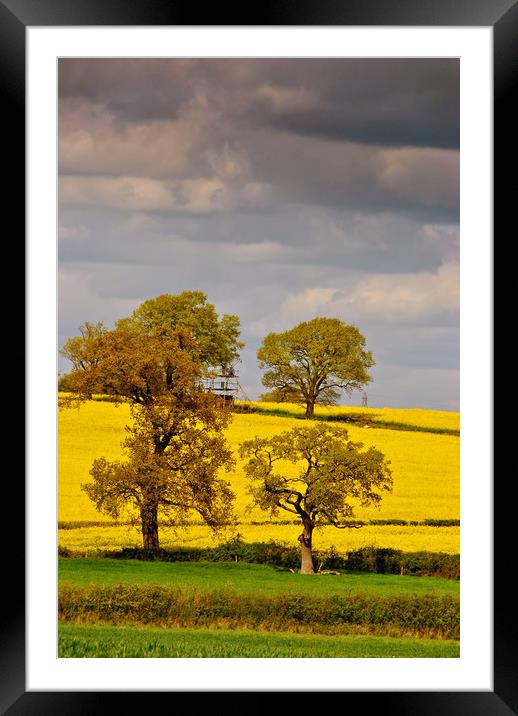 Golden Fields of Mortimer Framed Mounted Print by Andy Evans Photos