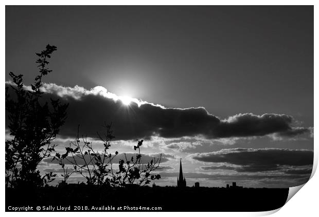 Norwich Cathedral Mono Sunset Print by Sally Lloyd