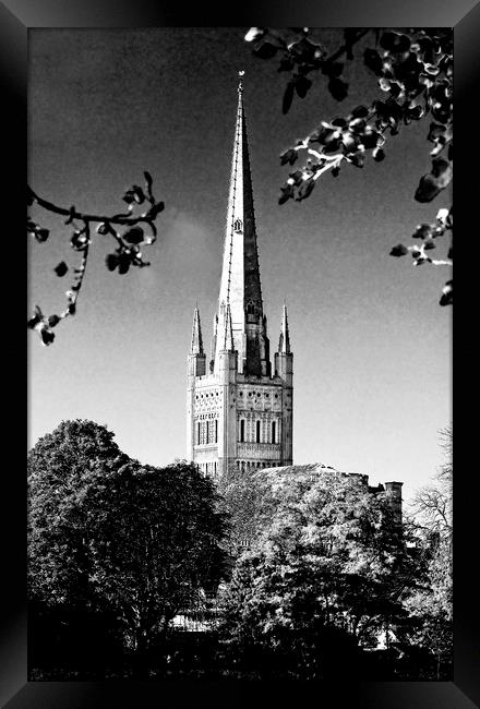 Norwich Cathedral Framed Print by Darren Burroughs